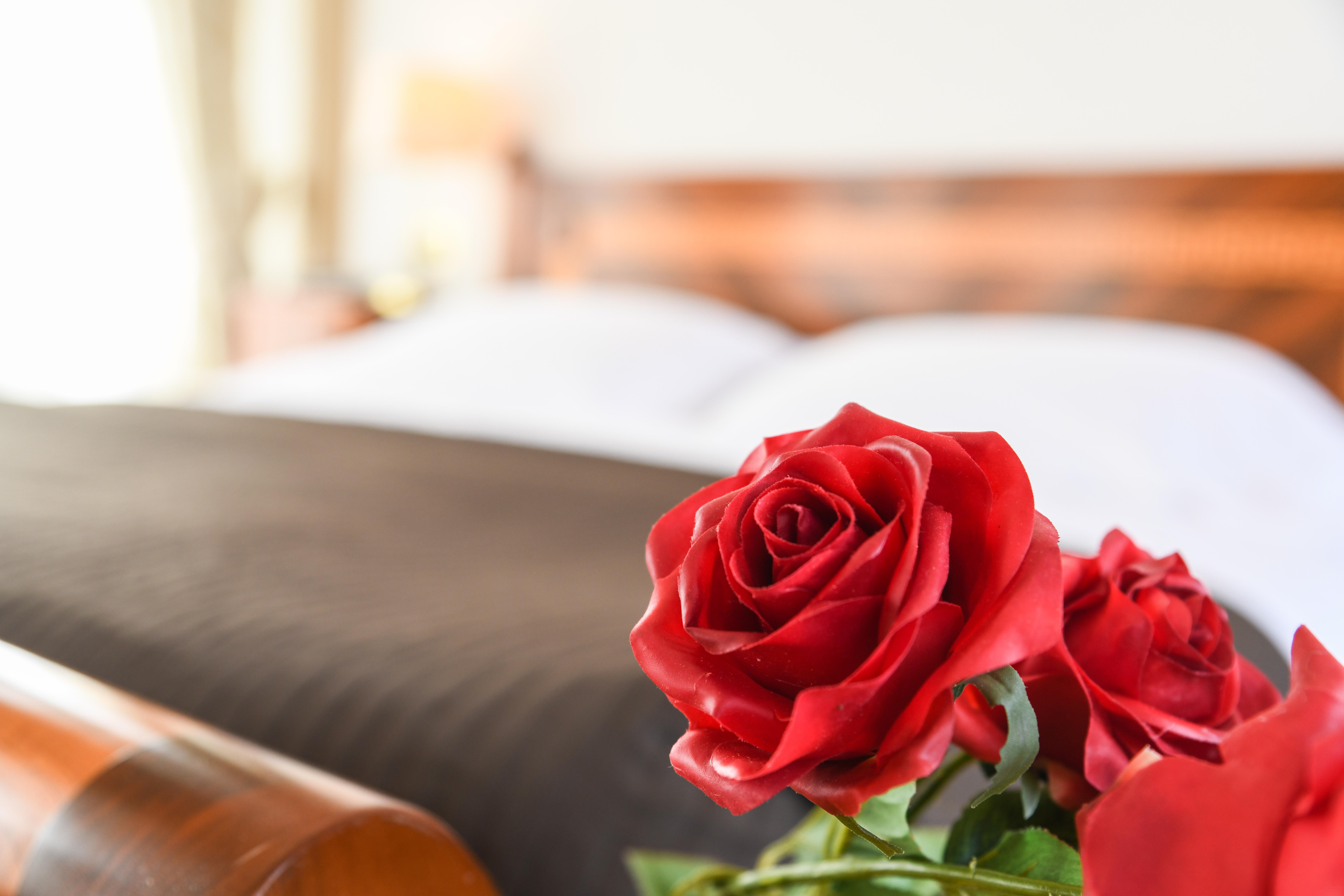 Hotel Vittoria Brescia Exterior photo A red rose